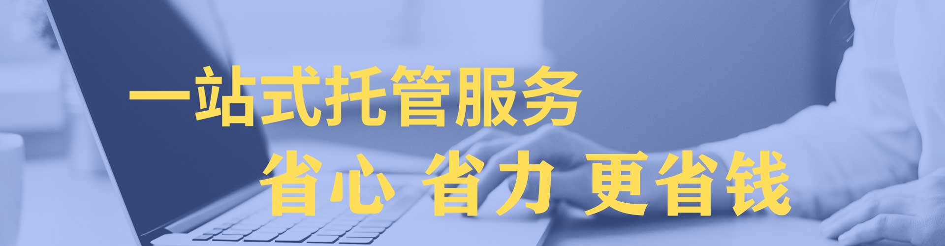 金川sem运营